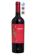 Braccobosca Lacertilia Tannat