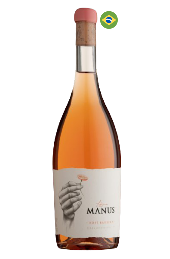 Manus Liberum Barbera Rose