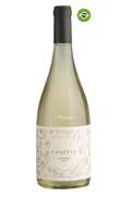 Casa Eva Chardonnay