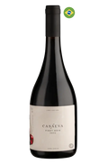 Casa Eva Pinot Noir