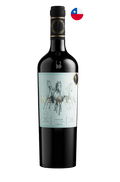 Kasta Syrah 750ml